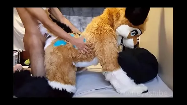 عرض FreyaShibe - Doggy Fun قصاصات جديدة