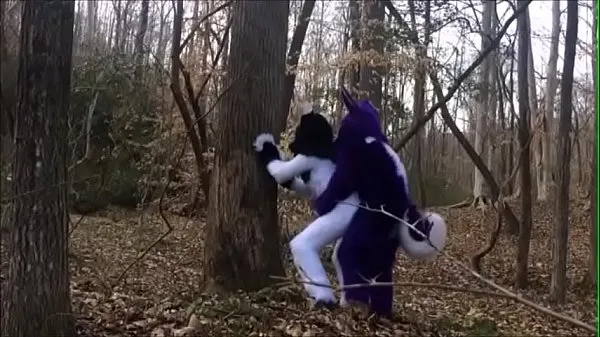 Mostra Coppia Fursuit accoppiamento nel bosconuovi clip